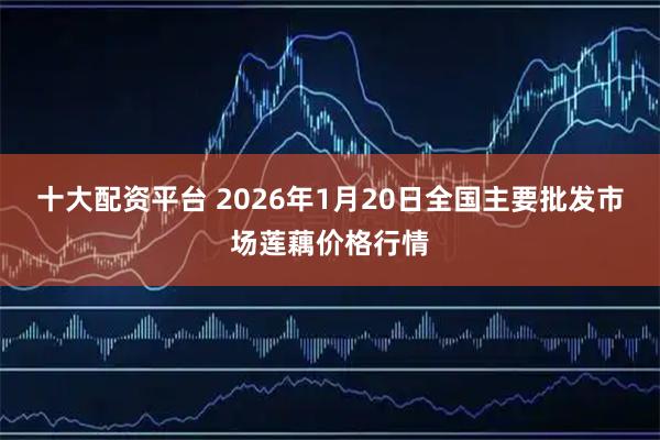 十大配资平台 2026年1月20日全国主要批发市场莲藕价格行情