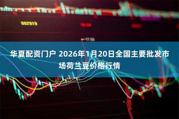 华夏配资门户 2026年1月20日全国主要批发市场荷兰豆价格行情